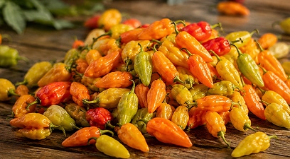 orange-datils